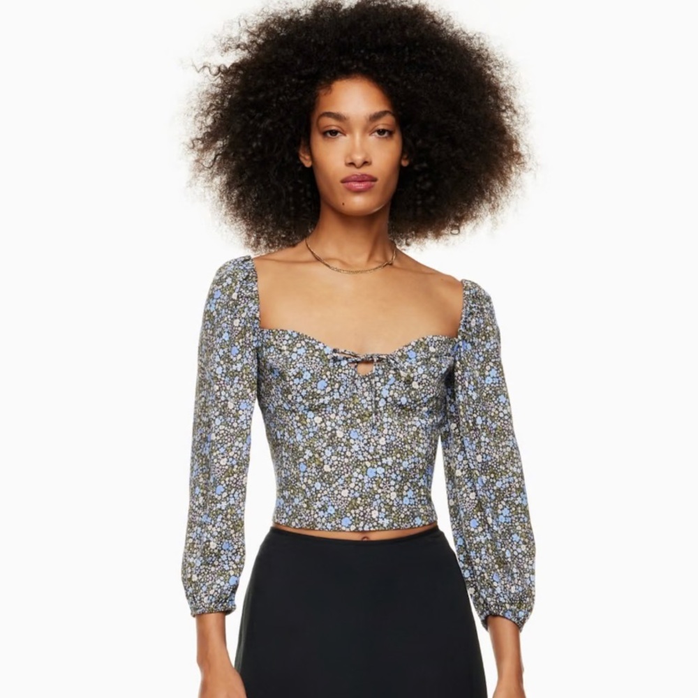Wilfred Floral Novella Top with Blue Accents Size 2XL Aritzia - Picture 5 of 5